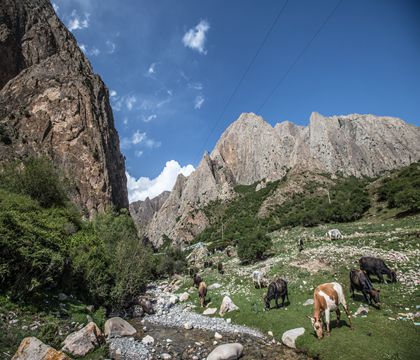 甘肅蘭州+夏河+拉卜楞寺+迭部+扎尕那+郎木寺+劉家峽6日5晚私家團
